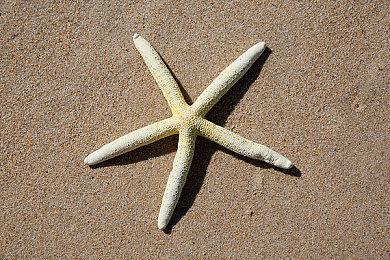 《黑神话》Steam特别好评 这款国产游戏做的太棒了